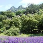 Cortijo Auf Der Al-manzil By Interhome 度假居 *