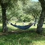 Cortijo Auf Der Al-manzil By Interhome 度假居