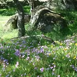 Cortijo Auf Der Al-manzil By Interhome
