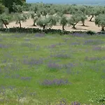 度假居 Cortijo Auf Der Al-manzil By Interhome *