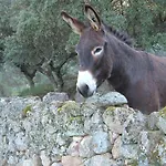 Cortijo Auf Der Al-manzil By Interhome Montánchez