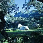 度假居 Cortijo Auf Der Al-manzil By Interhome Montánchez