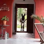 Cortijo Auf Der Al-manzil By Interhome 度假居 *