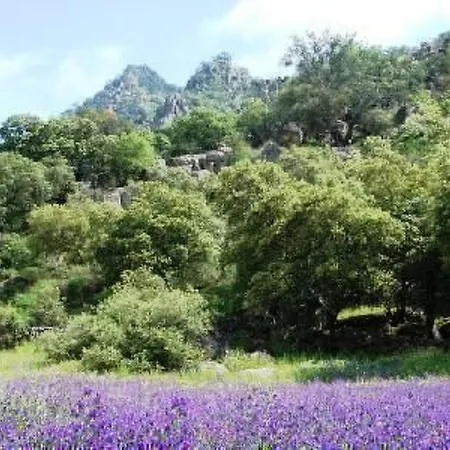 Cortijo Auf Der Al-manzil By Interhome Casa de Férias *