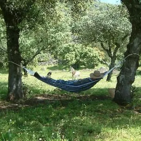 Cortijo Auf Der Al-manzil By Interhome Casa de Férias
