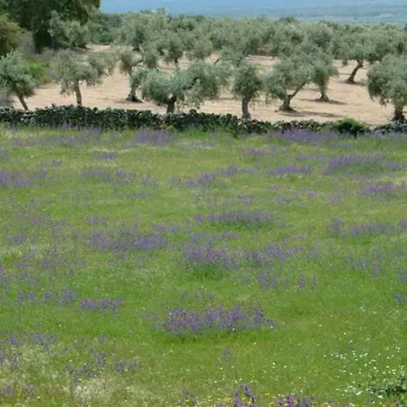 Holiday home Cortijo Auf Der Al-manzil By Interhome *