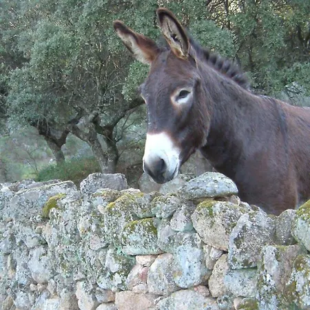 Cortijo Auf Der Al-manzil By Interhome Montanchez