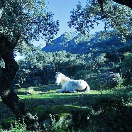 Holiday home Cortijo Auf Der Al-manzil By Interhome Montanchez