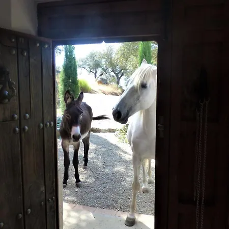 Cortijo Auf Der Al-manzil By Interhome