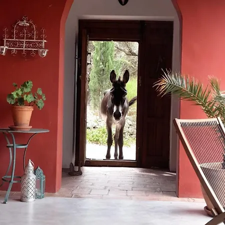 Cortijo Auf Der Al-manzil By Interhome Casa de Férias *