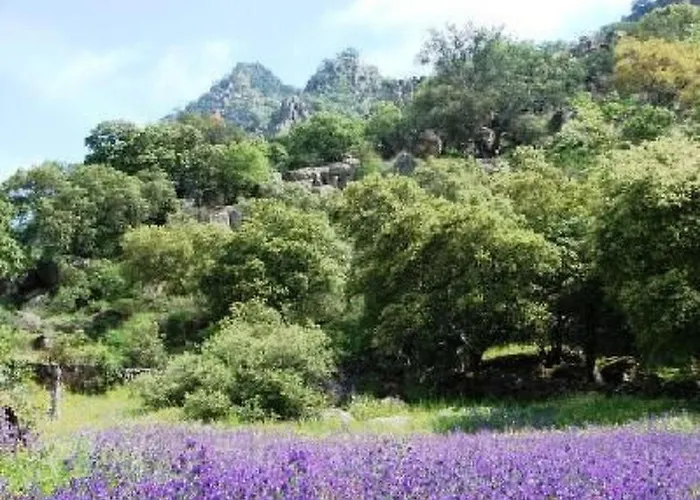 Cortijo Auf Der Al-manzil By Interhome Holiday home *