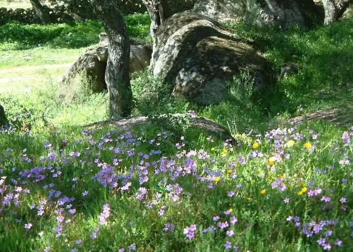 Cortijo Auf Der Al-manzil By Interhome