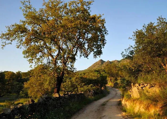 Cortijo Auf Der Al-manzil By Interhome Prázdninový dům Montánchez