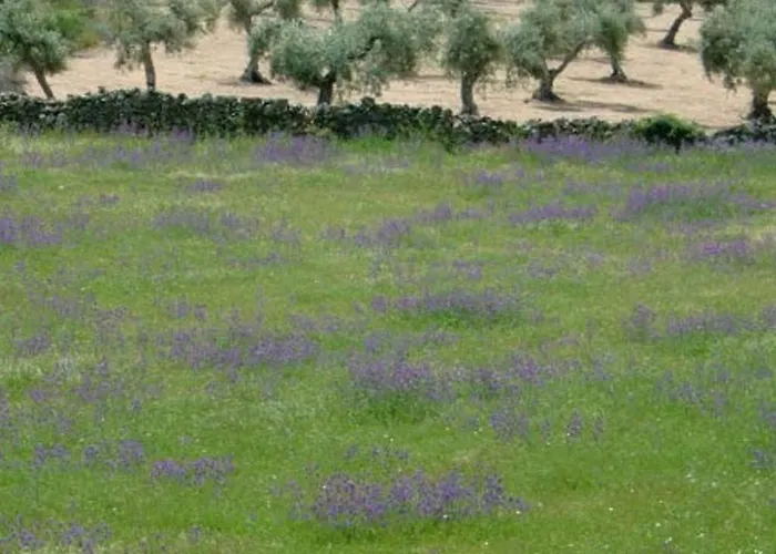 Holiday home Cortijo Auf Der Al-manzil By Interhome *