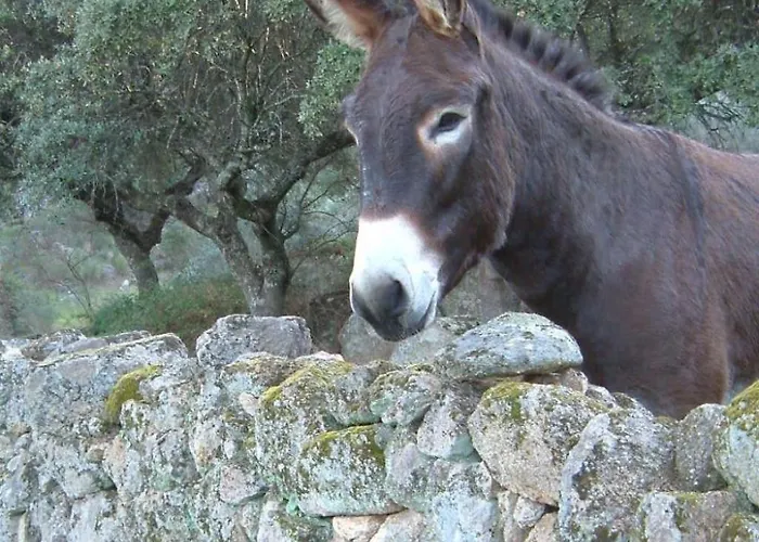 Cortijo Auf Der Al-manzil By Interhome Montánchez