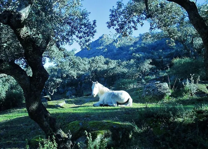 Prázdninový dům Cortijo Auf Der Al-manzil By Interhome Montánchez