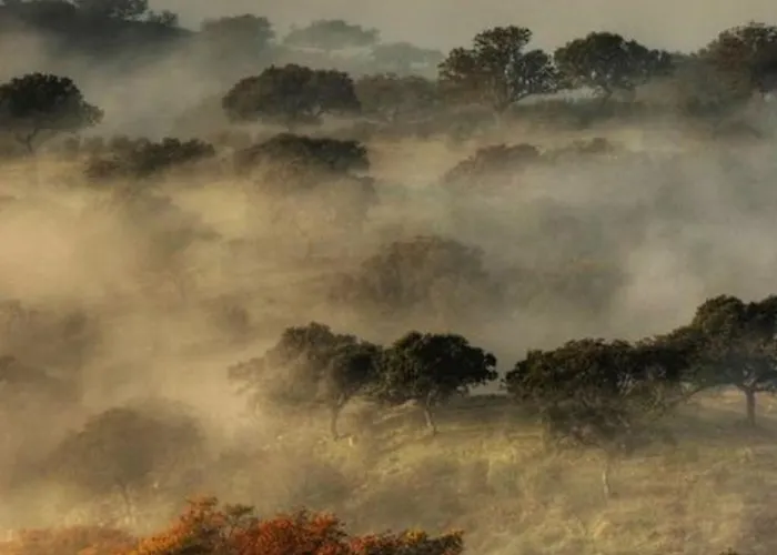 Cortijo Auf Der Al-manzil By Interhome