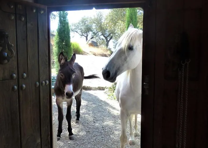 Cortijo Auf Der Al-manzil By Interhome