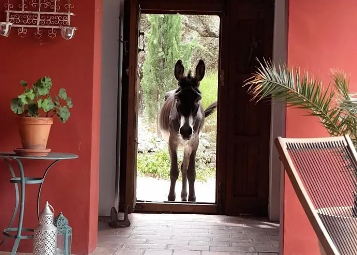 Cortijo Auf Der Al-manzil By Interhome Holiday home *